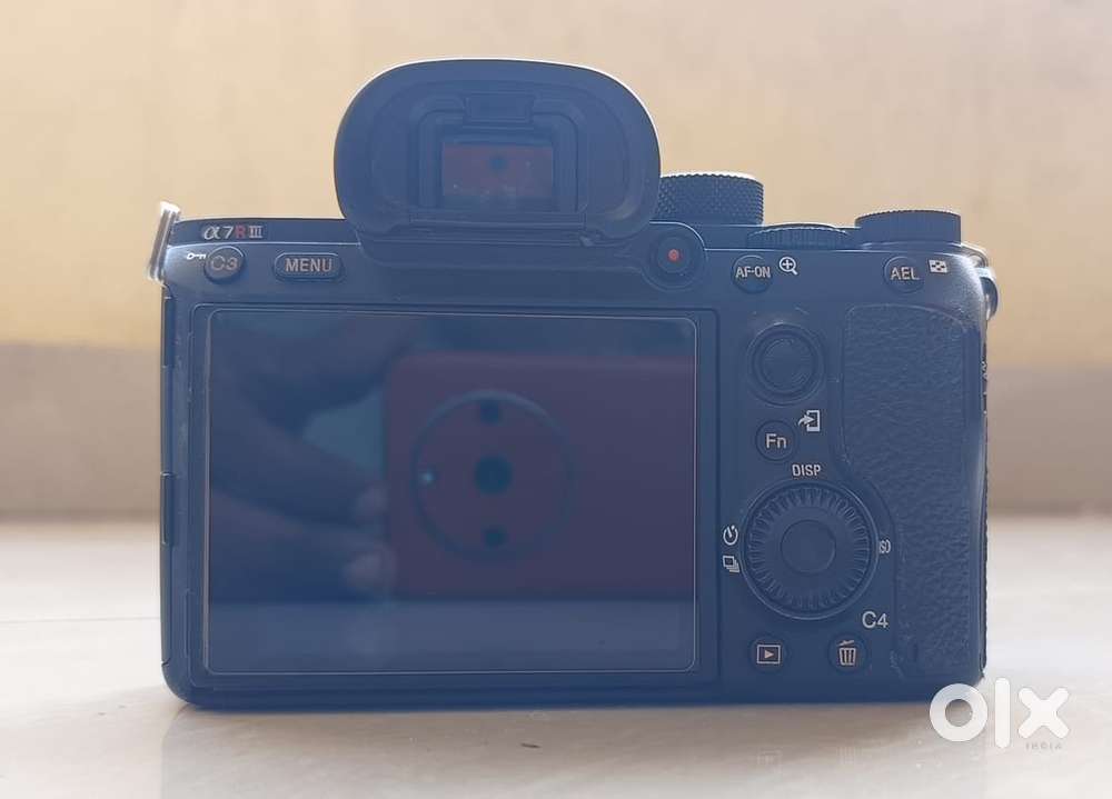SONY 7R3-LOOKING GOOD