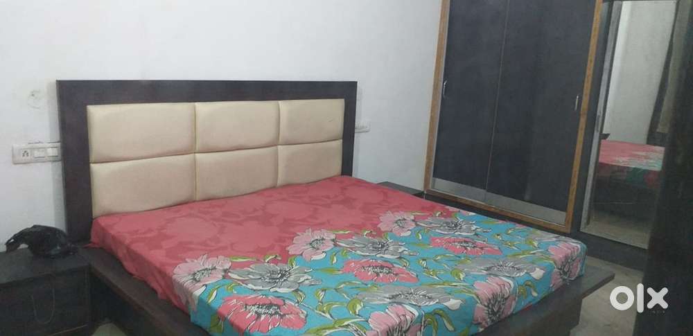 100 sq kothi 3 story at model town extn