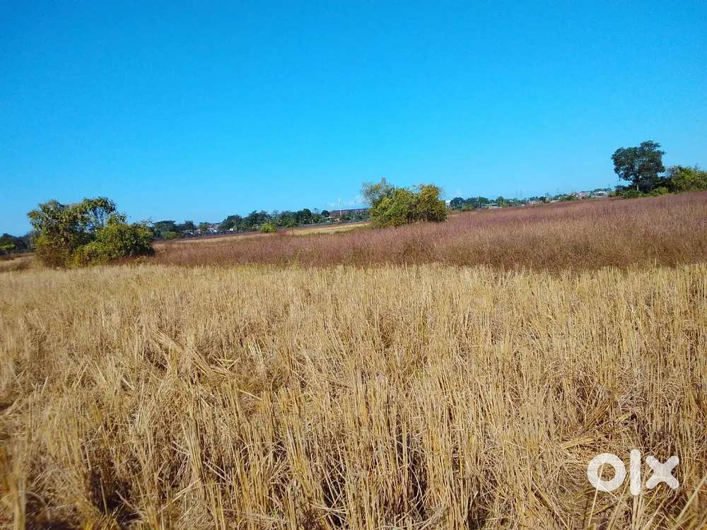 18,000,00 /katha(negotiable) 5 katha land sale in banipur Dibrugarh