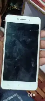Han Hai Koi chalane wala nahin Hai