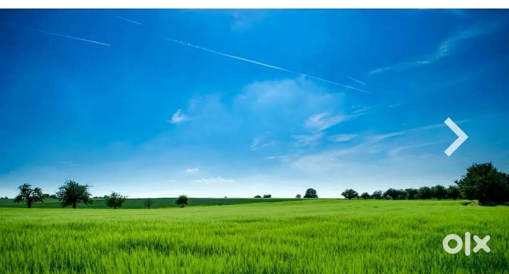 Milkyat Land 6 marlas for sale