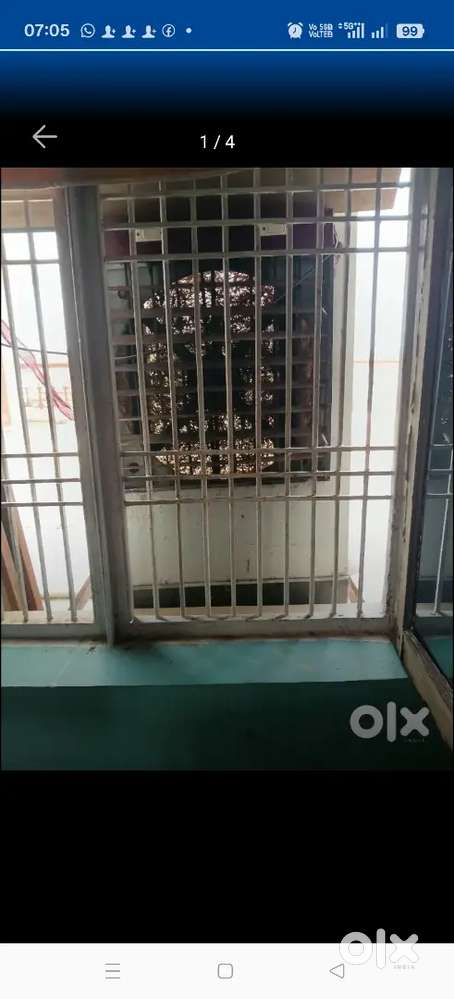 4 foot cooler one year old