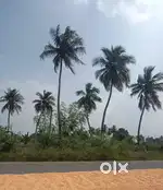 Farm land for sale
