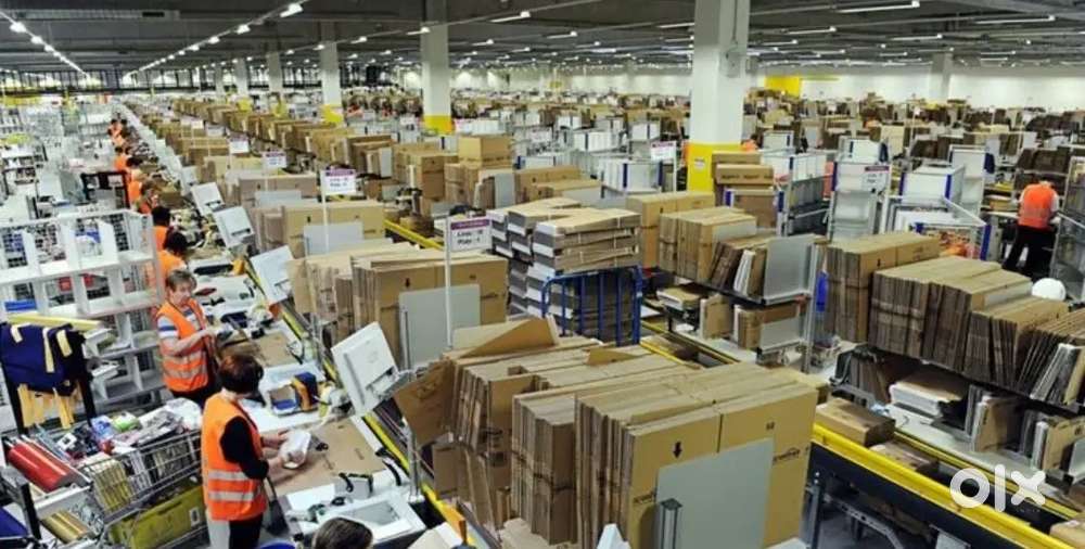Packing / scanning / entry