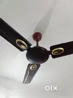 Ceiling fan coffee brown,fancy light