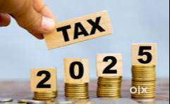 Account executive in CA Firm