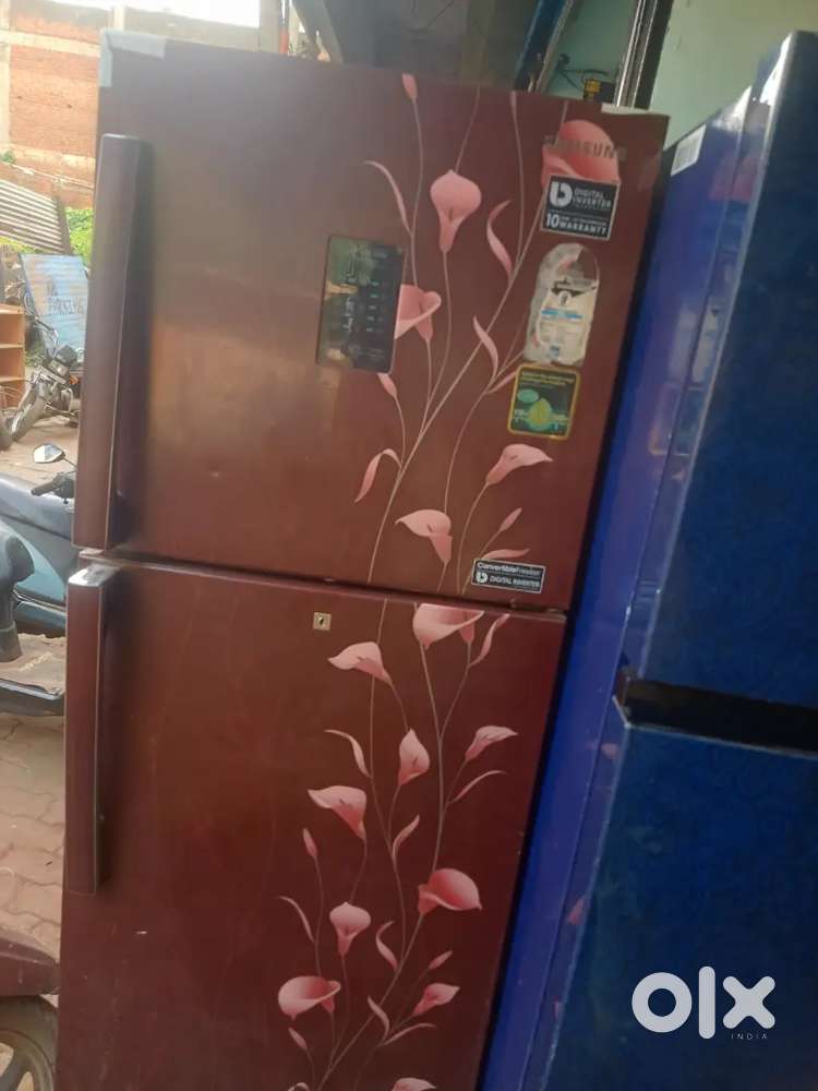 single/double door fridges