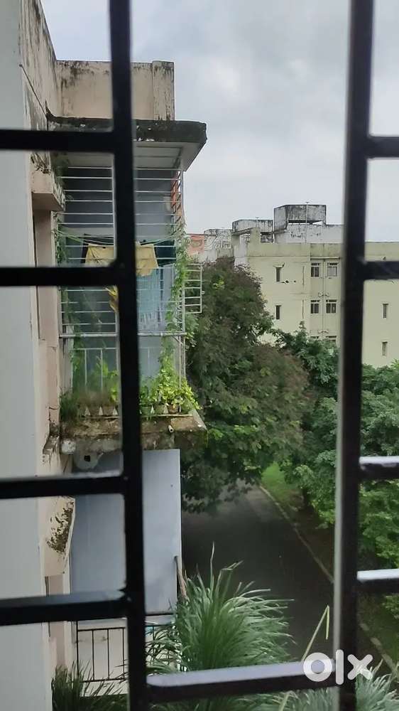 1bhk flat on rent at shapoorji