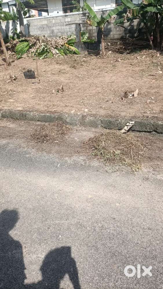 കുടപ്പനാകുന്നു 5/4cent 2പ്ലോട്ട്