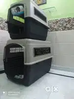 40 inches Flight cage available for Domestic and International Flight
