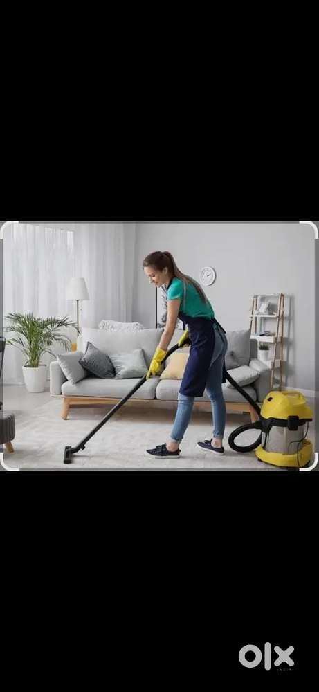Home cleaning and car cleaning