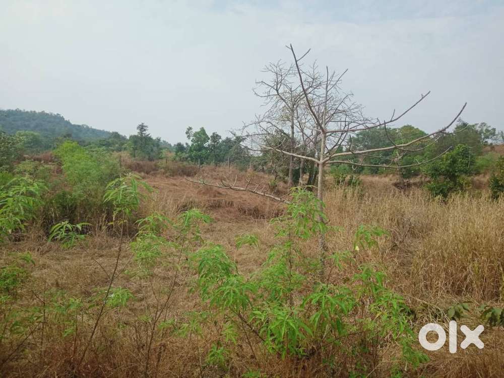 Road Touch Agriculture Plot Sale in Mangaon Dighi Port