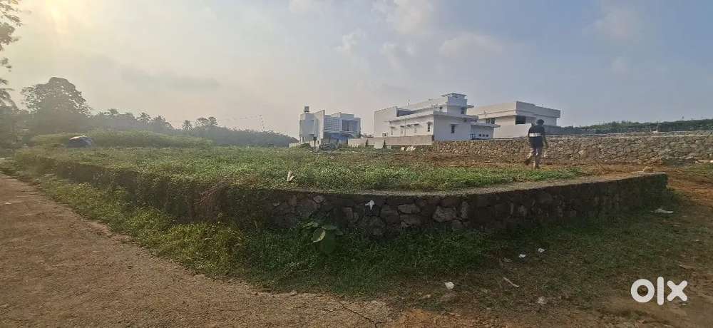 14 സെന്റ് house plot കുത്തുക്കുഴിയിൽ വില്പനക്ക്