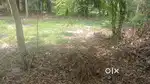 സ്ഥലം വിൽപനയ്ക്ക് land for sale