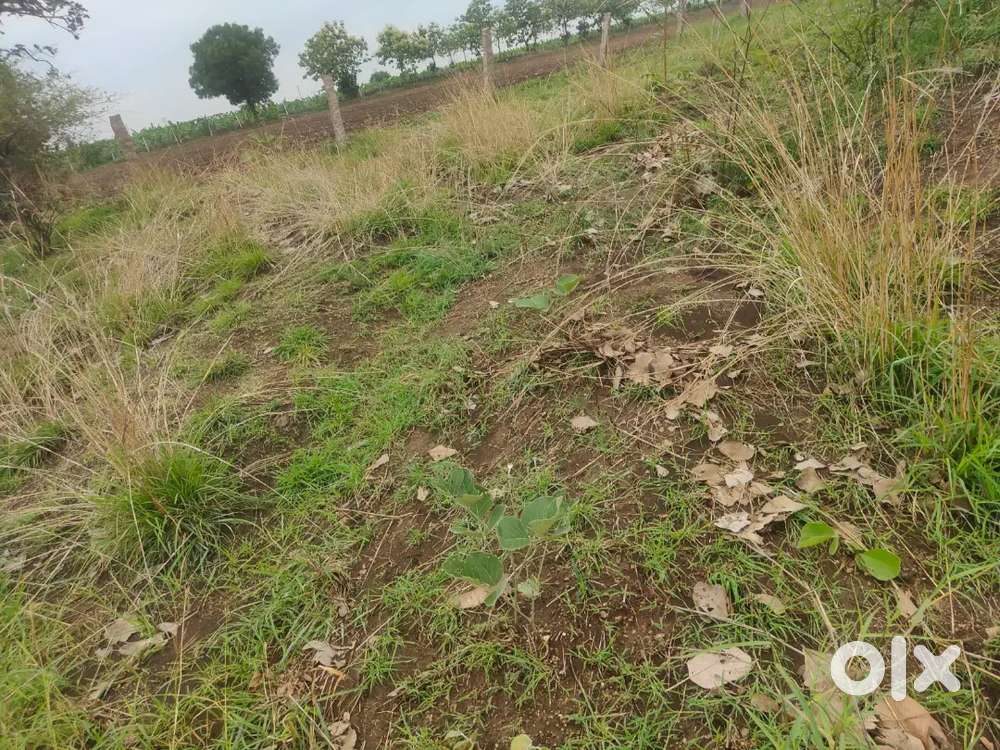 Open plot sale in pisini