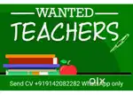 Teachers wanted