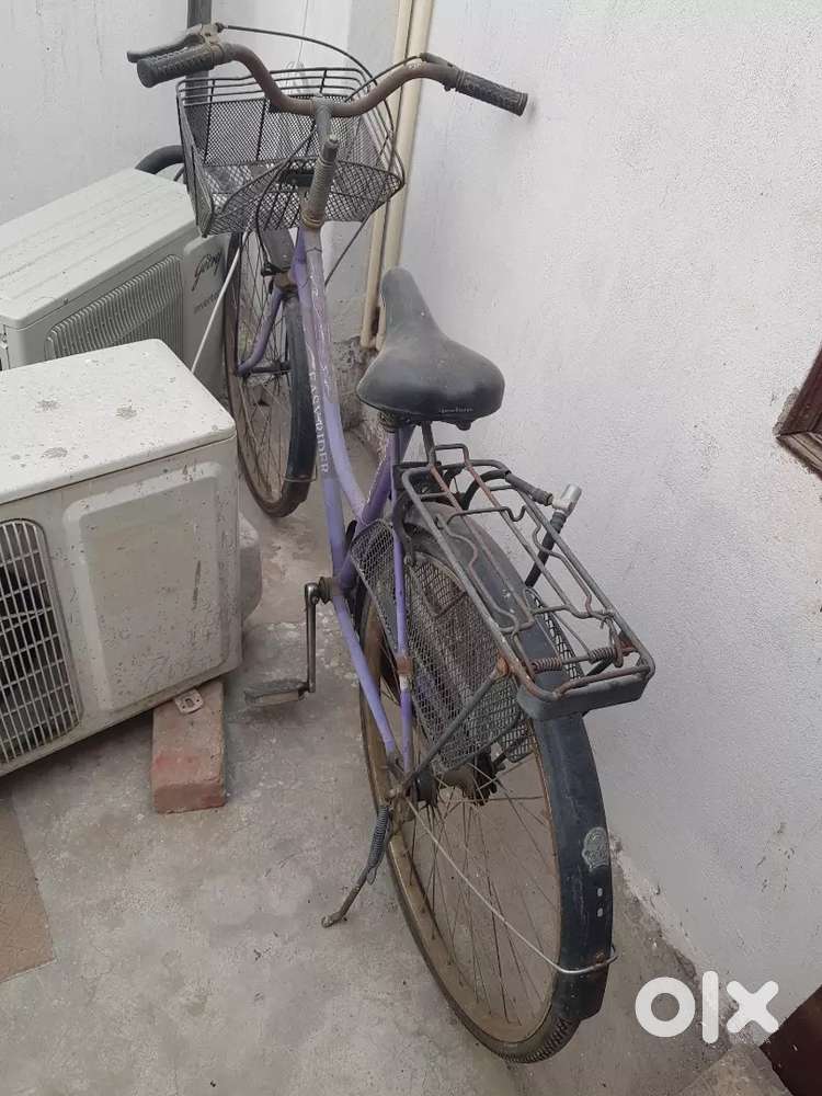 Ladies cycle