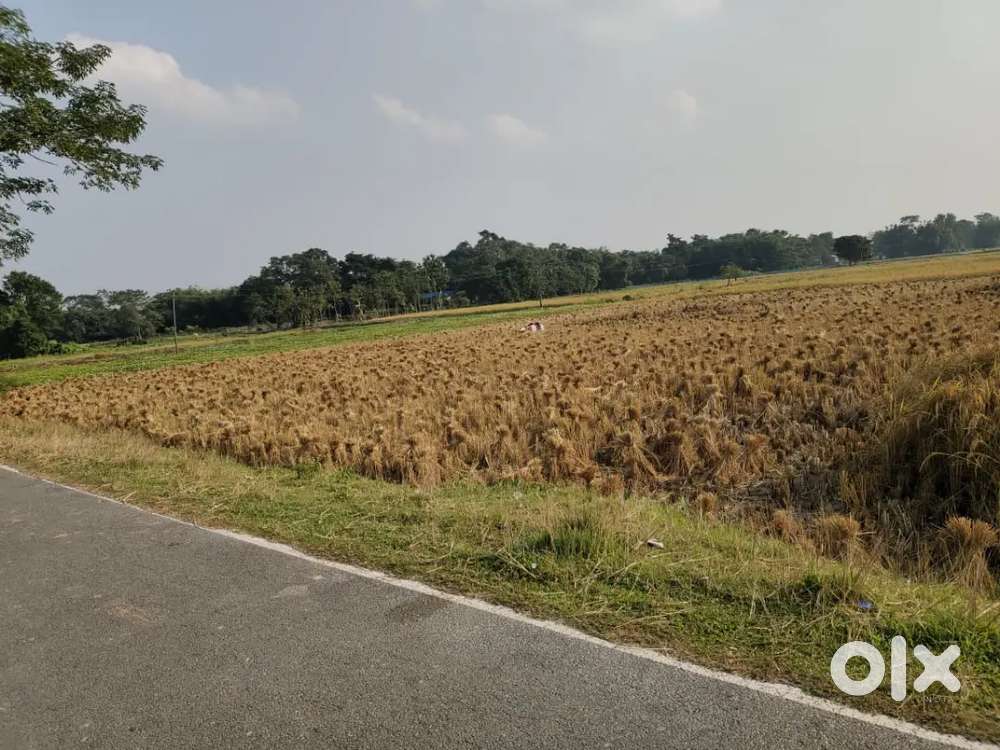 Roadside Plot for Sale , Reasonable Price and Quality Place