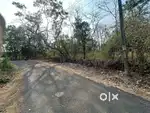 3000 sq mt land for sale in thivim