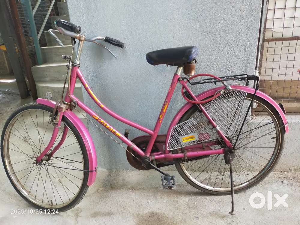 The Barbie cycle of 2year