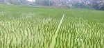 One house. 72 sqare yards.  At rameswaram