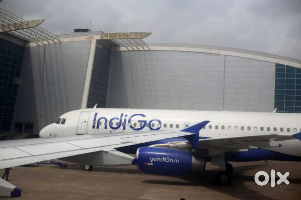 385+Seats Available For Ground Staff Jobs In Indigo Airlines Vacancy
