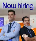 Job in indigo airlines 2025