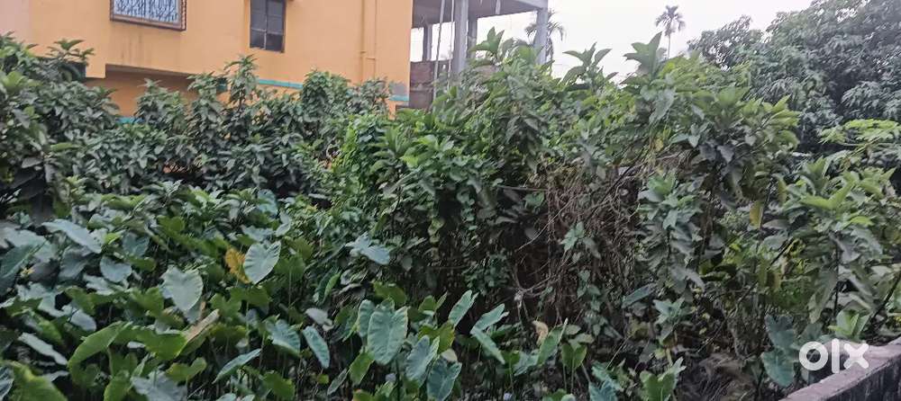 খুবই সুন্দর জায়গা চারিদিকে বাউন্ডারি দেওয়া, খুবই সুন্দর পরিবেশ।।