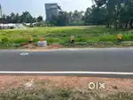 Commercial plot 20 cent kakkanad to kangarapady jn near