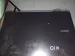 Acer acer ac