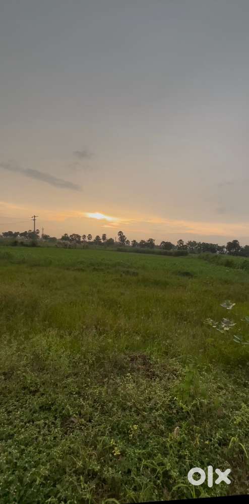 Per Sq.yd 4,600/-