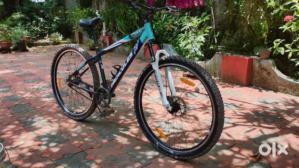 Modle (fx300),top speed
