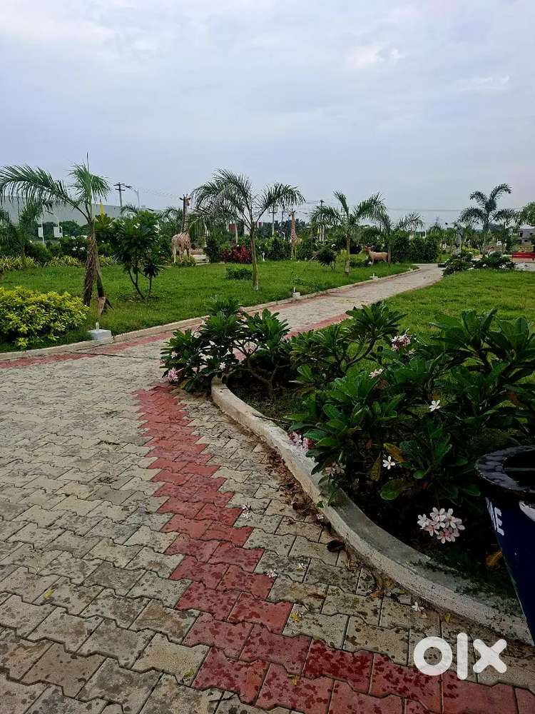 ON ROAD TH ROAD  DTCP APPROVED PLOT REDHILLS 9km only