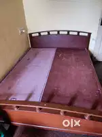 Moutaindew cot