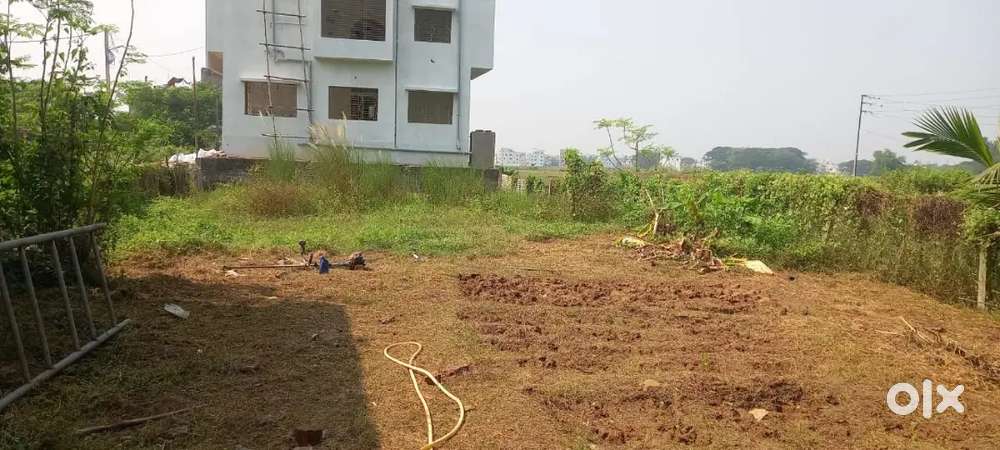 Gharabari Plot Pandara For Sale