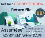 GST REGISTRATION AND RETURN FILE
