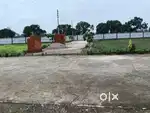 Plot for sale in lamachaur near MIET college and APS school