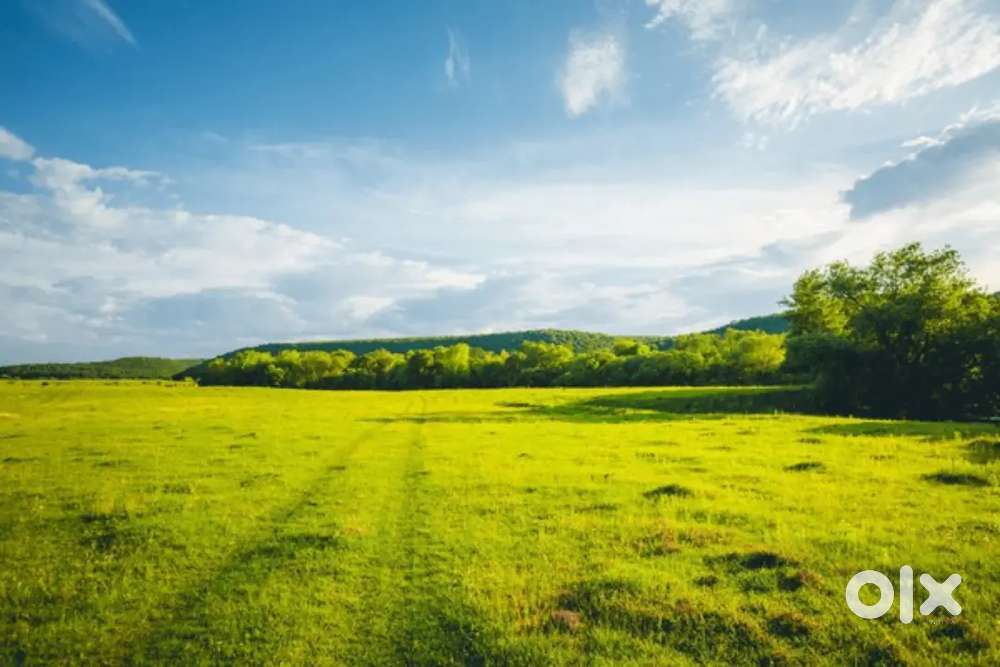 RESIDENTIAL PLOT FOR SALE, SANQUELIM, AREA 245SQMTS, PRICE@₹5800/SQMTS