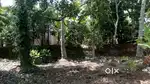 Residential plot for sale ,500 mtrs to Madannada Jn,Kollam