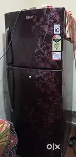 LG 242 L, 2 Star, Smart Inverter Double Door Refrigerator