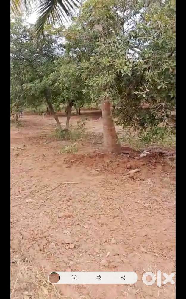 Organic farming land