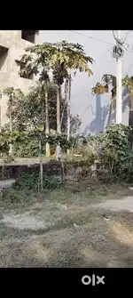 Prime location