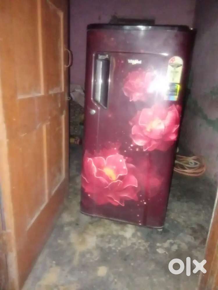 Best condition freeze just like a new