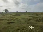 Raman tola mahasamund me plot sell karna h