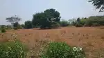 Vacant land for rent in 40feet main road sengadu mottur walajapet