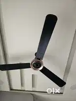 atomberg Studio Nexus 1200mm BLDC Ceiling Fan