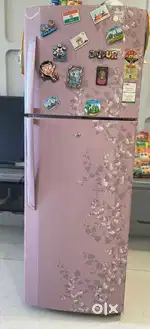 LG 260 Liters Double Door Refrigerator