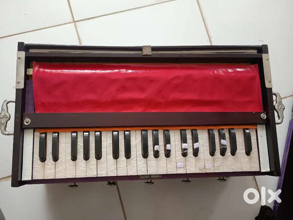 Harmonium double reed