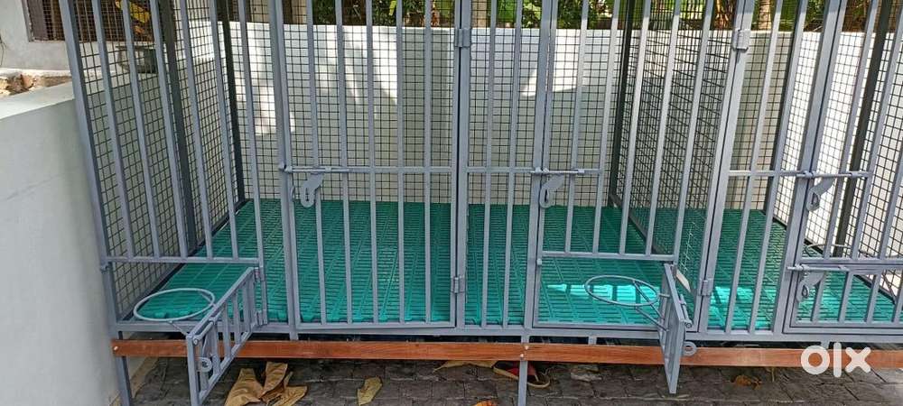 Two year old dog cage for sale