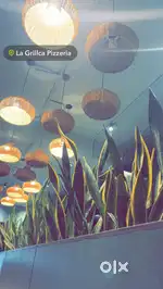 Room for rent low price
